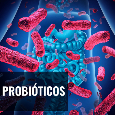 Probióticos