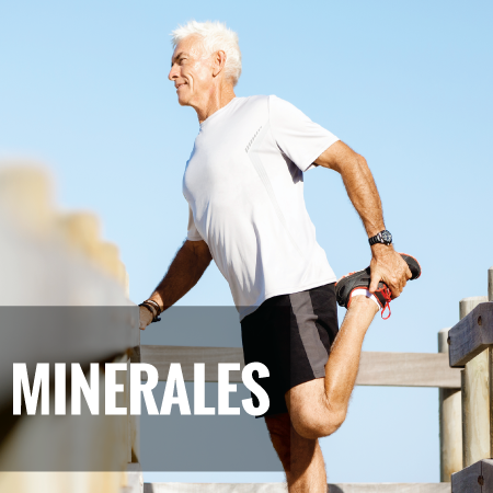 MINERALES